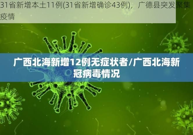31省新增本土11例(31省新增确诊43例)，广德县突发聚集疫情