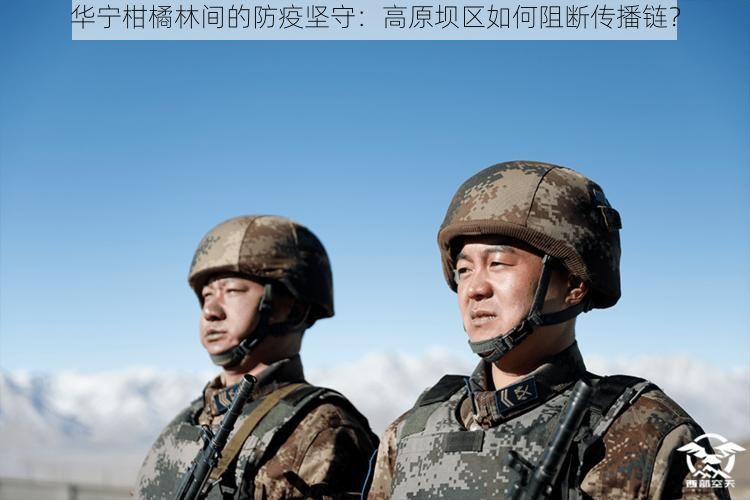 华宁柑橘林间的防疫坚守：高原坝区如何阻断传播链？