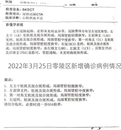 2022年3月25日零陵区新增确诊病例情况