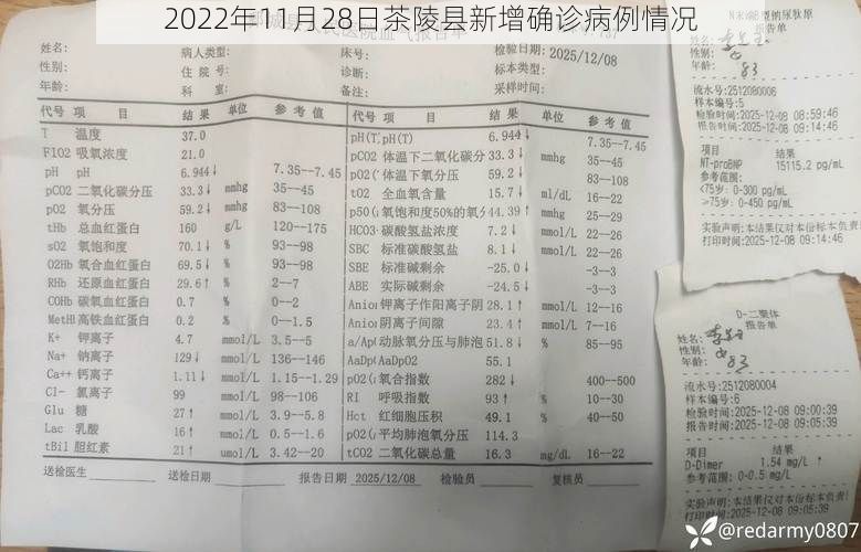 2022年11月28日茶陵县新增确诊病例情况