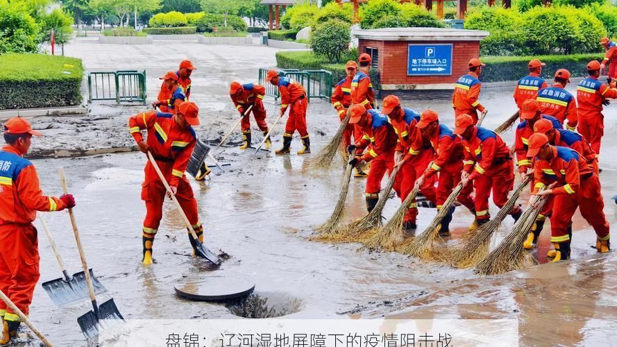 盘锦：辽河湿地屏障下的疫情阻击战