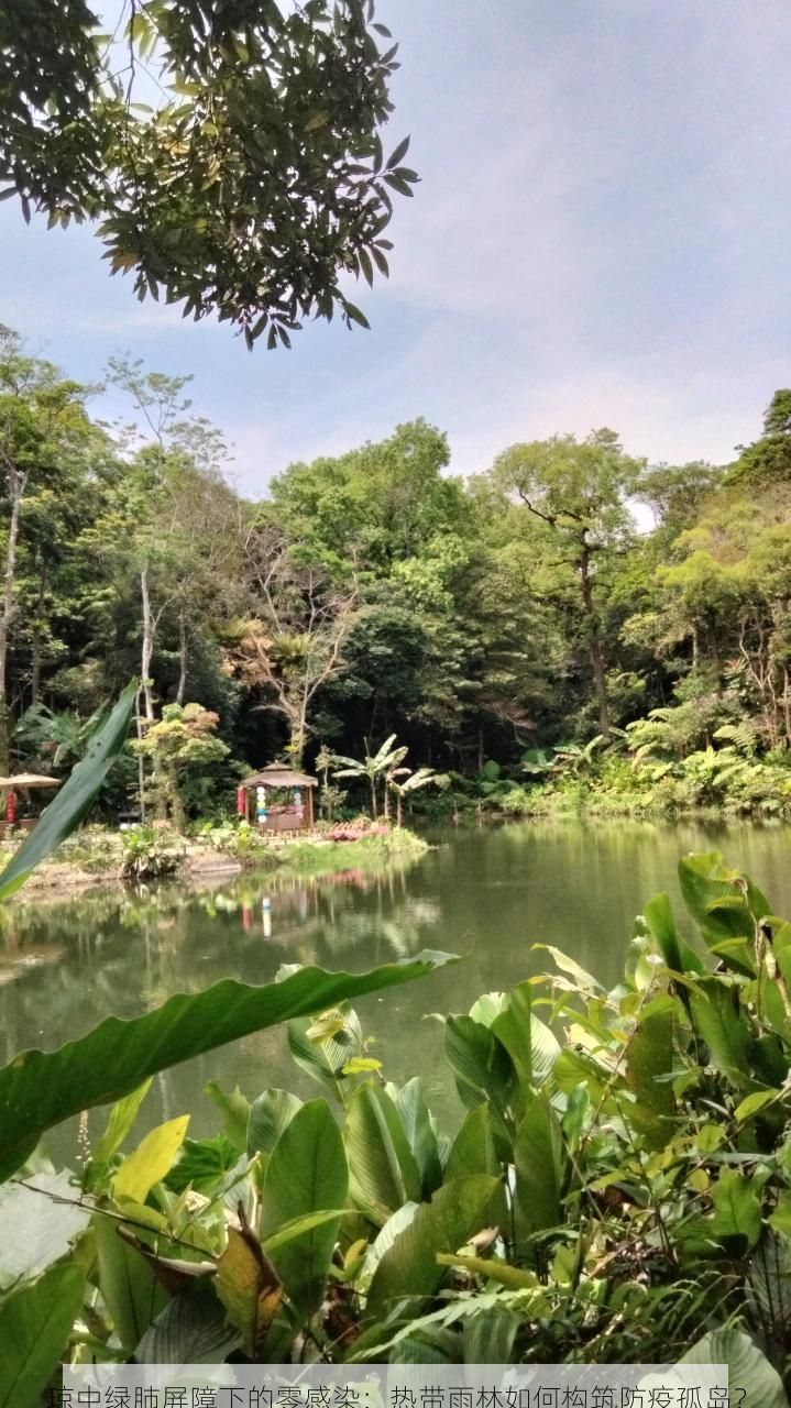 琼中绿肺屏障下的零感染：热带雨林如何构筑防疫孤岛？