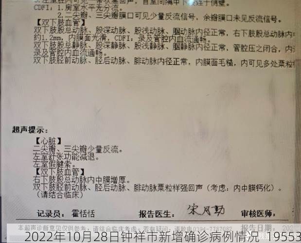 2022年10月28日钟祥市新增确诊病例情况_19553