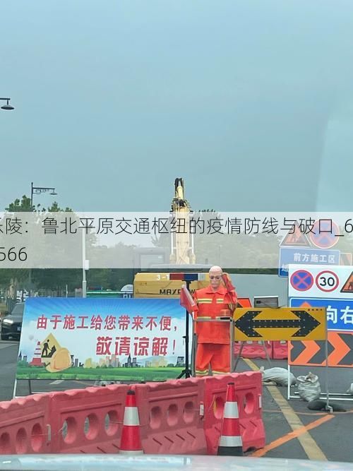 乐陵：鲁北平原交通枢纽的疫情防线与破口_64566