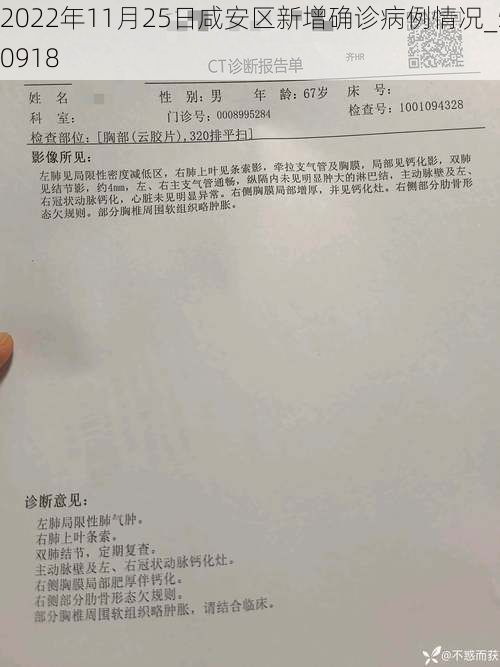 2022年11月25日咸安区新增确诊病例情况_50918