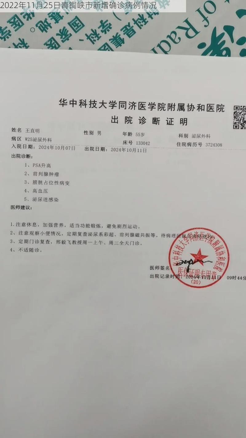 2022年11月25日青铜峡市新增确诊病例情况