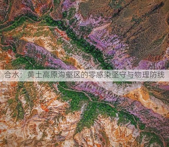 合水：黄土高原沟壑区的零感染坚守与物理防线