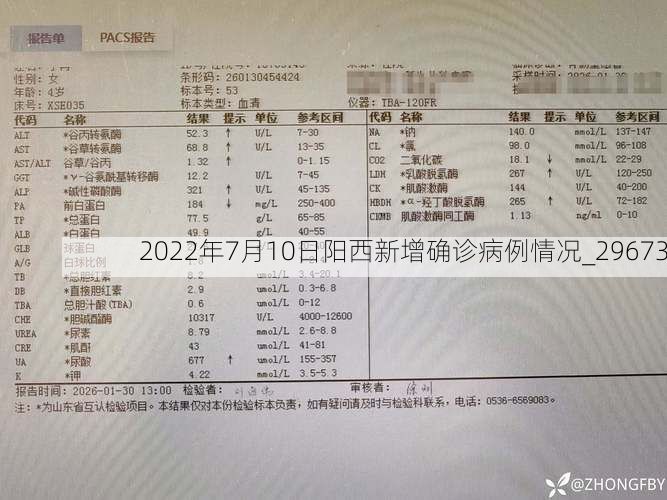 2022年7月10日阳西新增确诊病例情况_29673