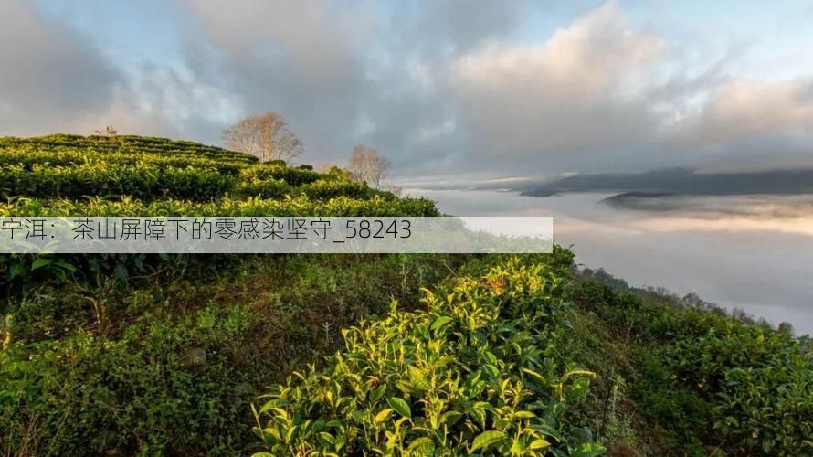 宁洱：茶山屏障下的零感染坚守_58243