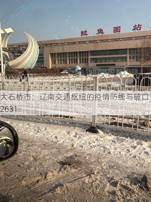 大石桥市：辽南交通枢纽的疫情防线与破口_62631