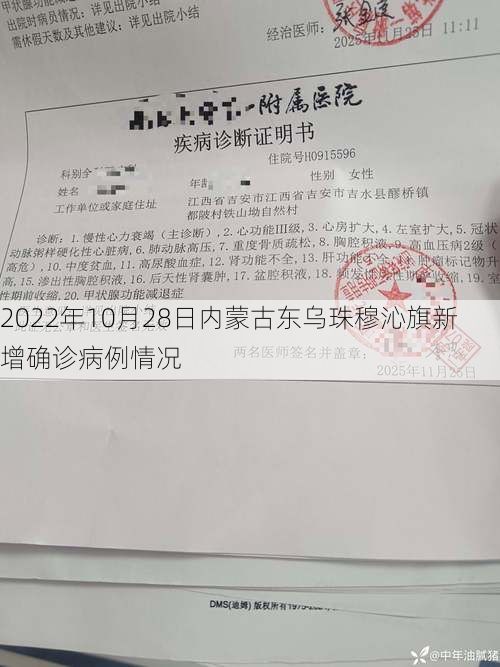 2022年10月28日内蒙古东乌珠穆沁旗新增确诊病例情况