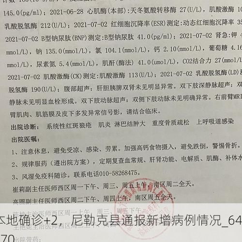 本地确诊+2，尼勒克县通报新增病例情况_64970