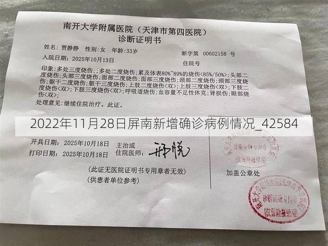 2022年11月28日屏南新增确诊病例情况_42584