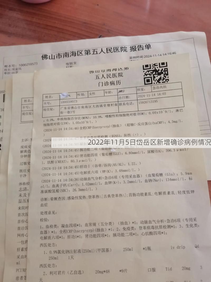 2022年11月5日岱岳区新增确诊病例情况