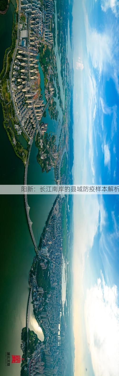 阳新：长江南岸的县域防疫样本解析