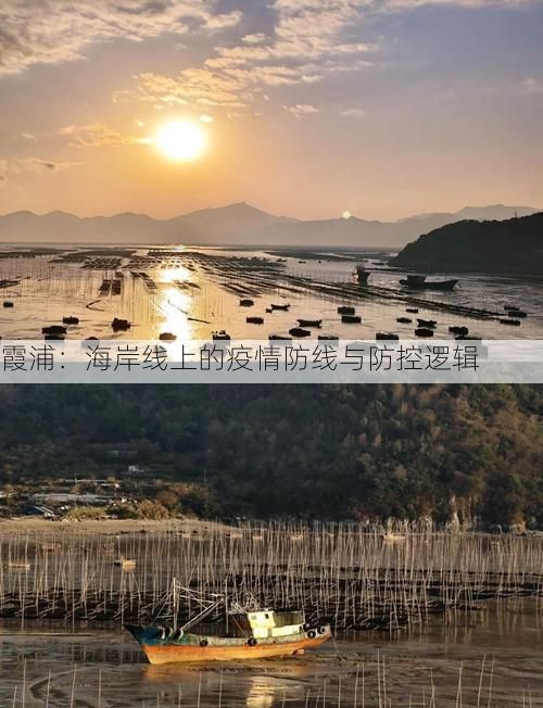 霞浦：海岸线上的疫情防线与防控逻辑