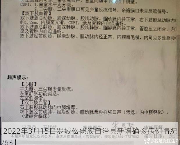 【2022年3月15日罗城仫佬族自治县新增确诊病例情况_51263】