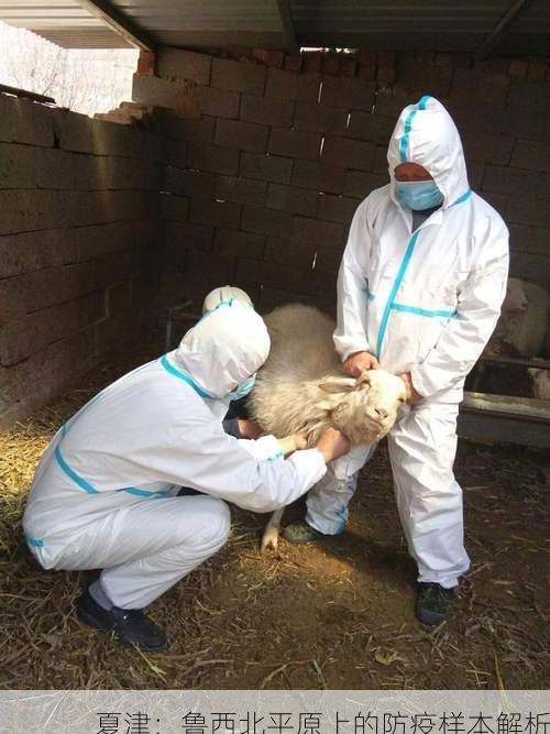 夏津：鲁西北平原上的防疫样本解析