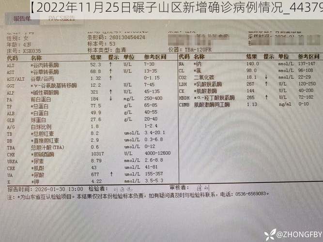 【2022年11月25日碾子山区新增确诊病例情况_44379】