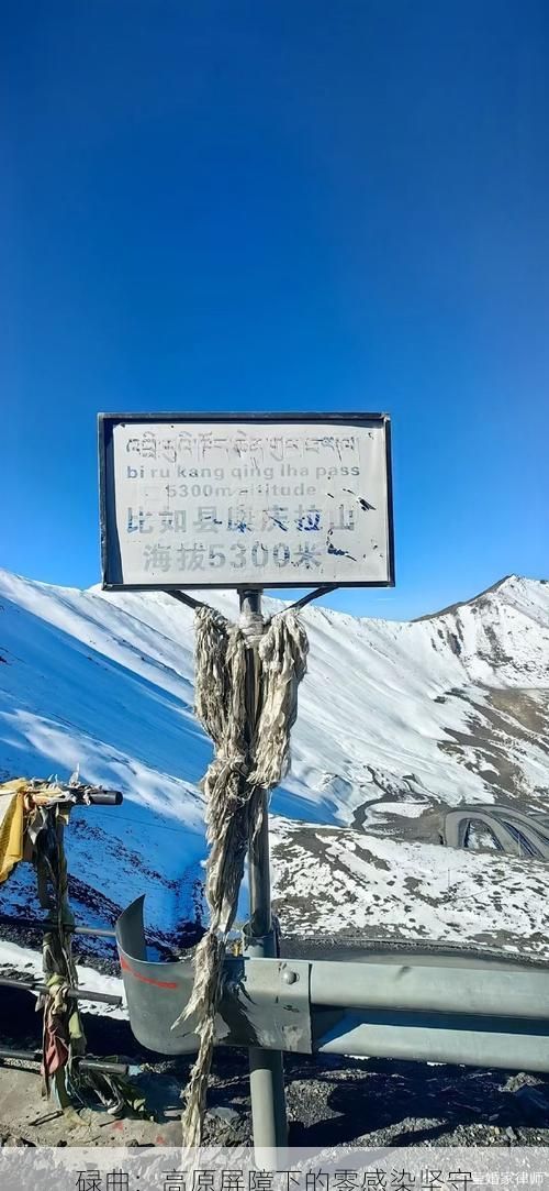 碌曲：高原屏障下的零感染坚守