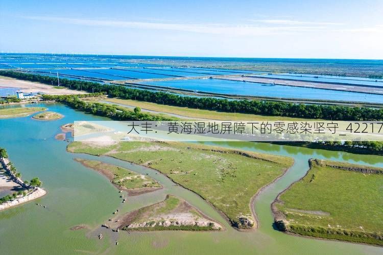 大丰：黄海湿地屏障下的零感染坚守_42217