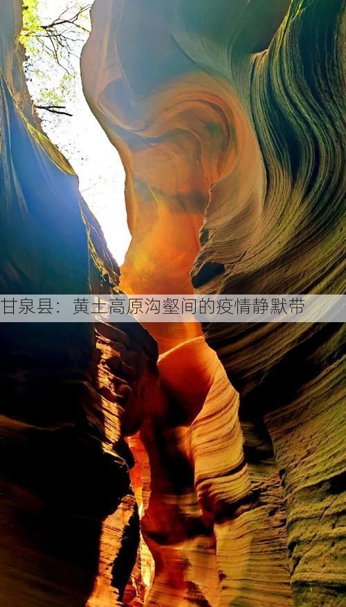 甘泉县：黄土高原沟壑间的疫情静默带