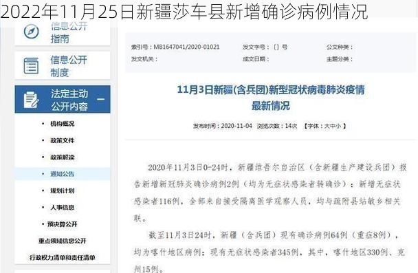 2022年11月25日新疆莎车县新增确诊病例情况