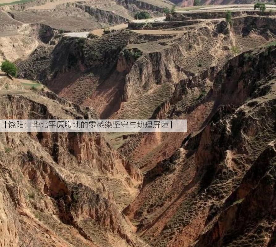 【饶阳：华北平原腹地的零感染坚守与地理屏障】
