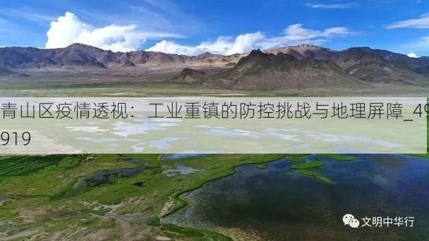 青山区疫情透视:工业重镇的防控挑战与地理屏障_49919