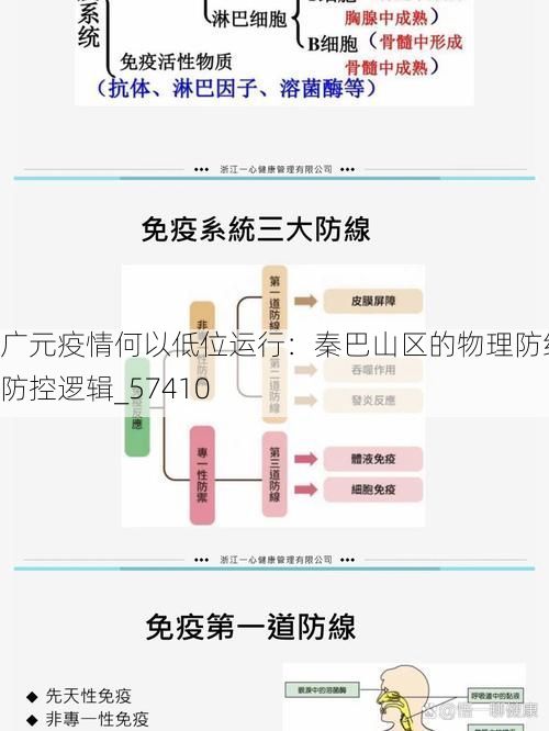 广元疫情何以低位运行：秦巴山区的物理防线与防控逻辑_57410