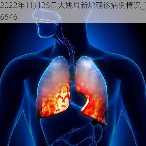 2022年11月25日大姚县新增确诊病例情况_76646