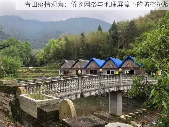青田疫情观察：侨乡网络与地理屏障下的防控挑战