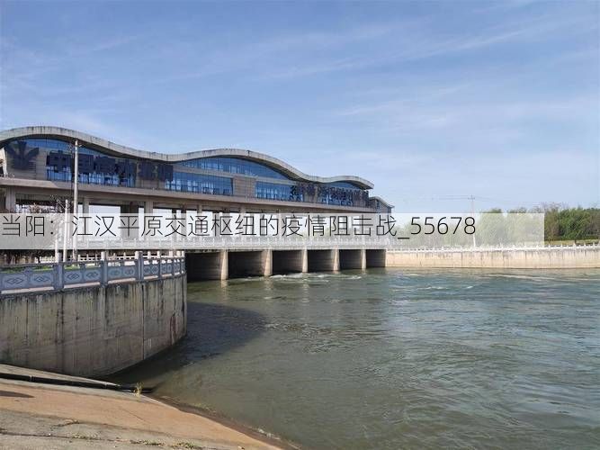 当阳：江汉平原交通枢纽的疫情阻击战_55678