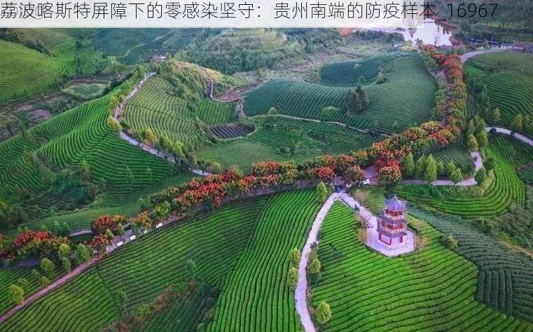 荔波喀斯特屏障下的零感染坚守：贵州南端的防疫样本_16967