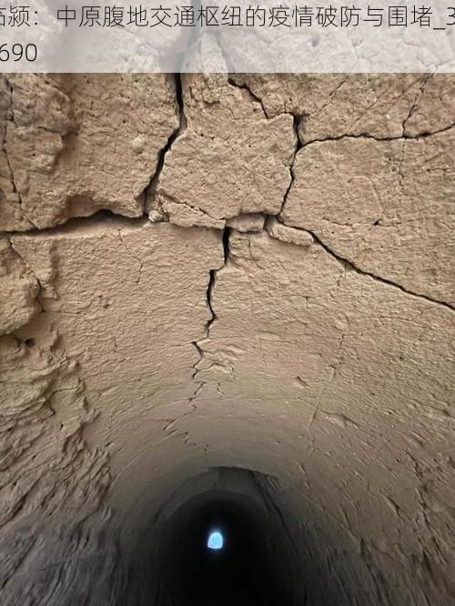 临颍：中原腹地交通枢纽的疫情破防与围堵_35690
