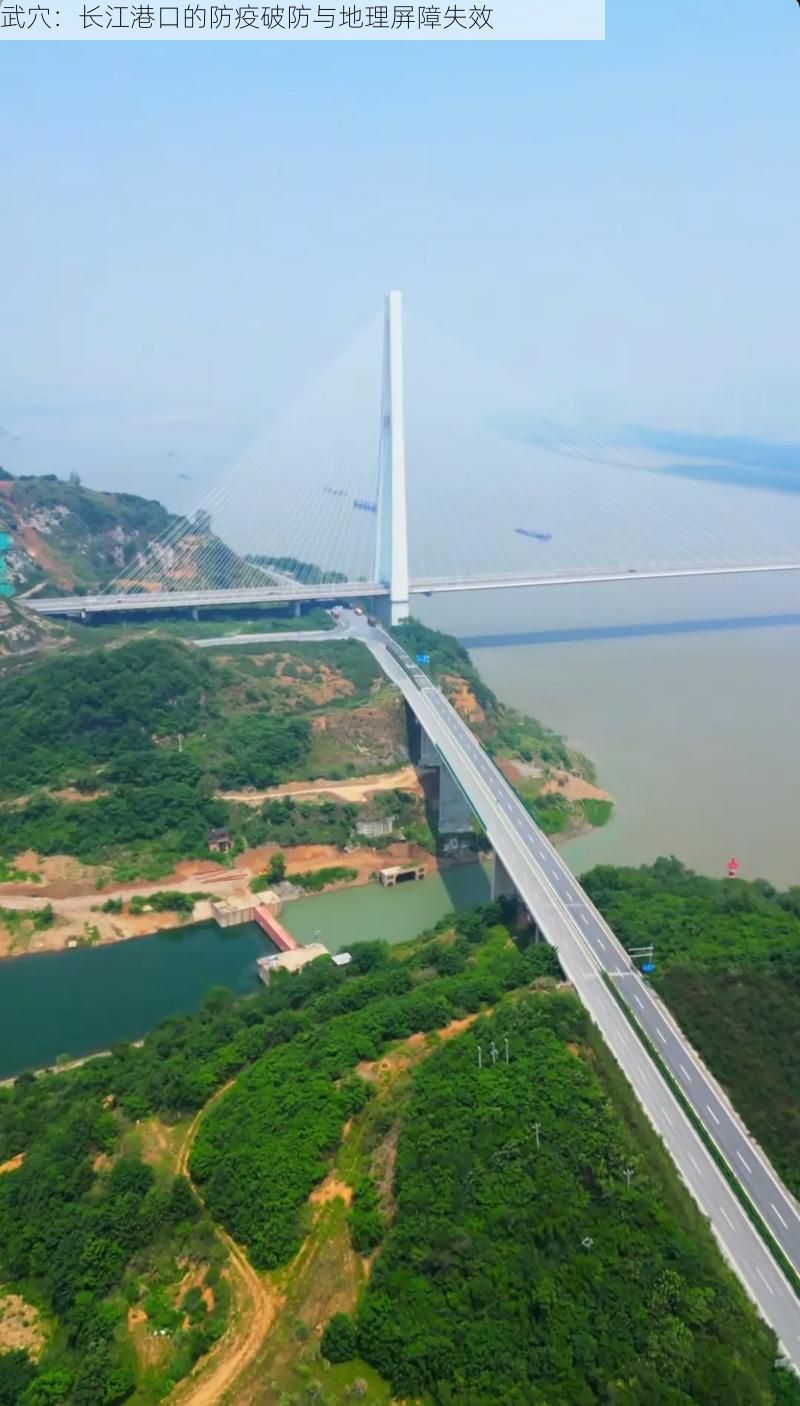 武穴：长江港口的防疫破防与地理屏障失效