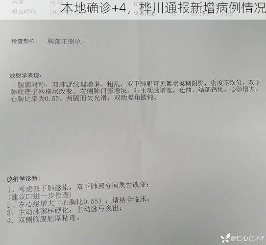 本地确诊+4，桦川通报新增病例情况