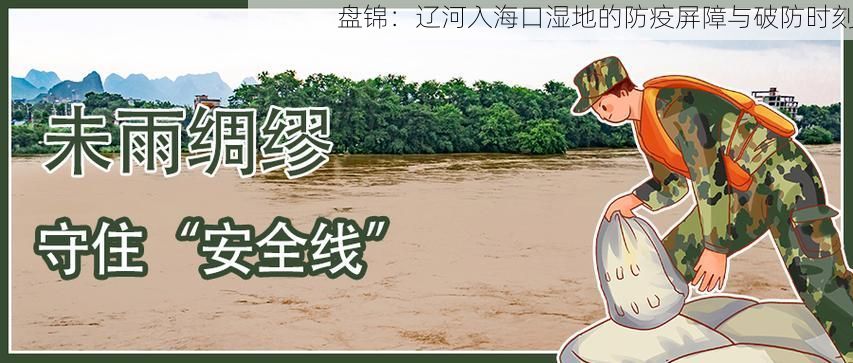 盘锦:辽河入海口湿地的防疫屏障与破防时刻