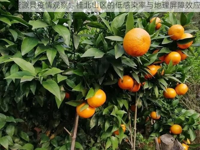 资源县疫情观察：桂北山区的低感染率与地理屏障效应