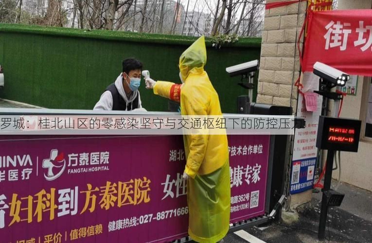 罗城：桂北山区的零感染坚守与交通枢纽下的防控压力