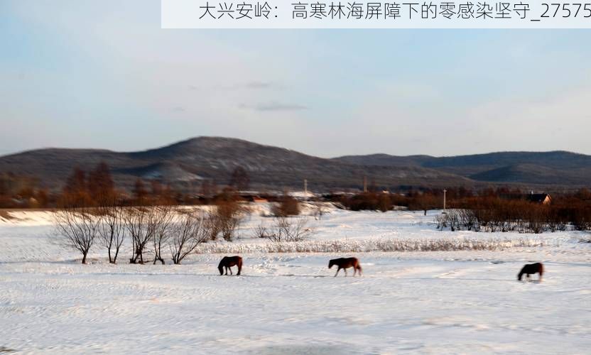 大兴安岭:高寒林海屏障下的零感染坚守_27575