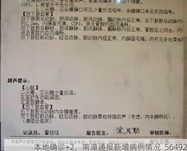 本地确诊+2,南漳通报新增病例情况_56492
