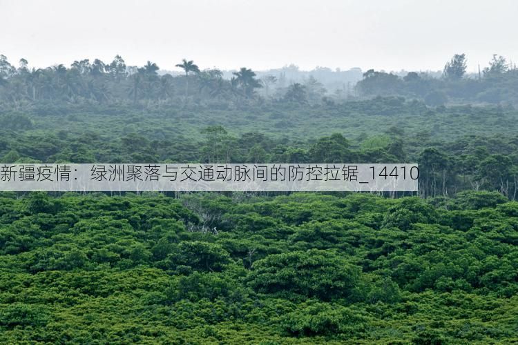 新疆疫情：绿洲聚落与交通动脉间的防控拉锯_14410