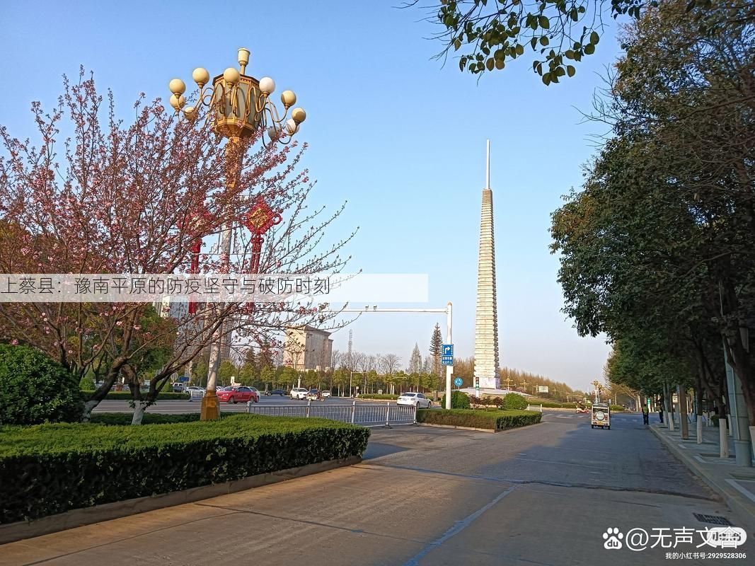上蔡县：豫南平原的防疫坚守与破防时刻