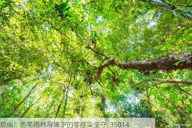 琼中：热带雨林屏障下的零感染坚守_35014