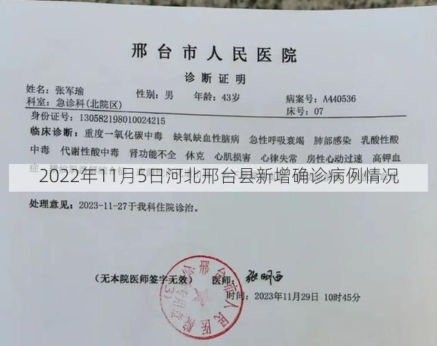 2022年11月5日河北邢台县新增确诊病例情况