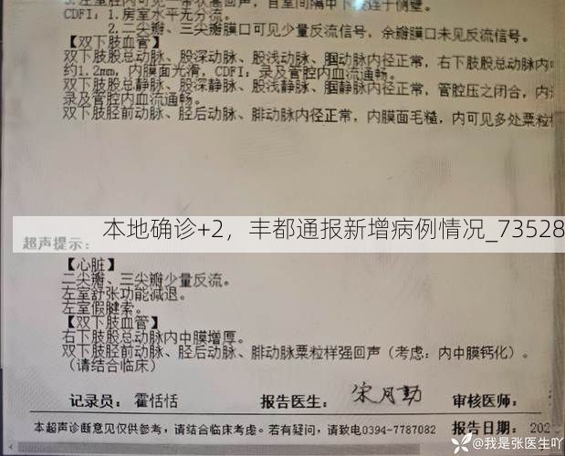 本地确诊+2，丰都通报新增病例情况_73528