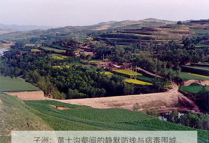 子洲：黄土沟壑间的静默防线与病毒围城