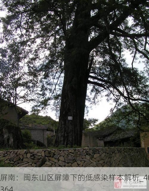 屏南:闽东山区屏障下的低感染样本解析_40364
