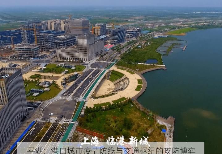 平湖：港口城市疫情防线与交通枢纽的攻防博弈